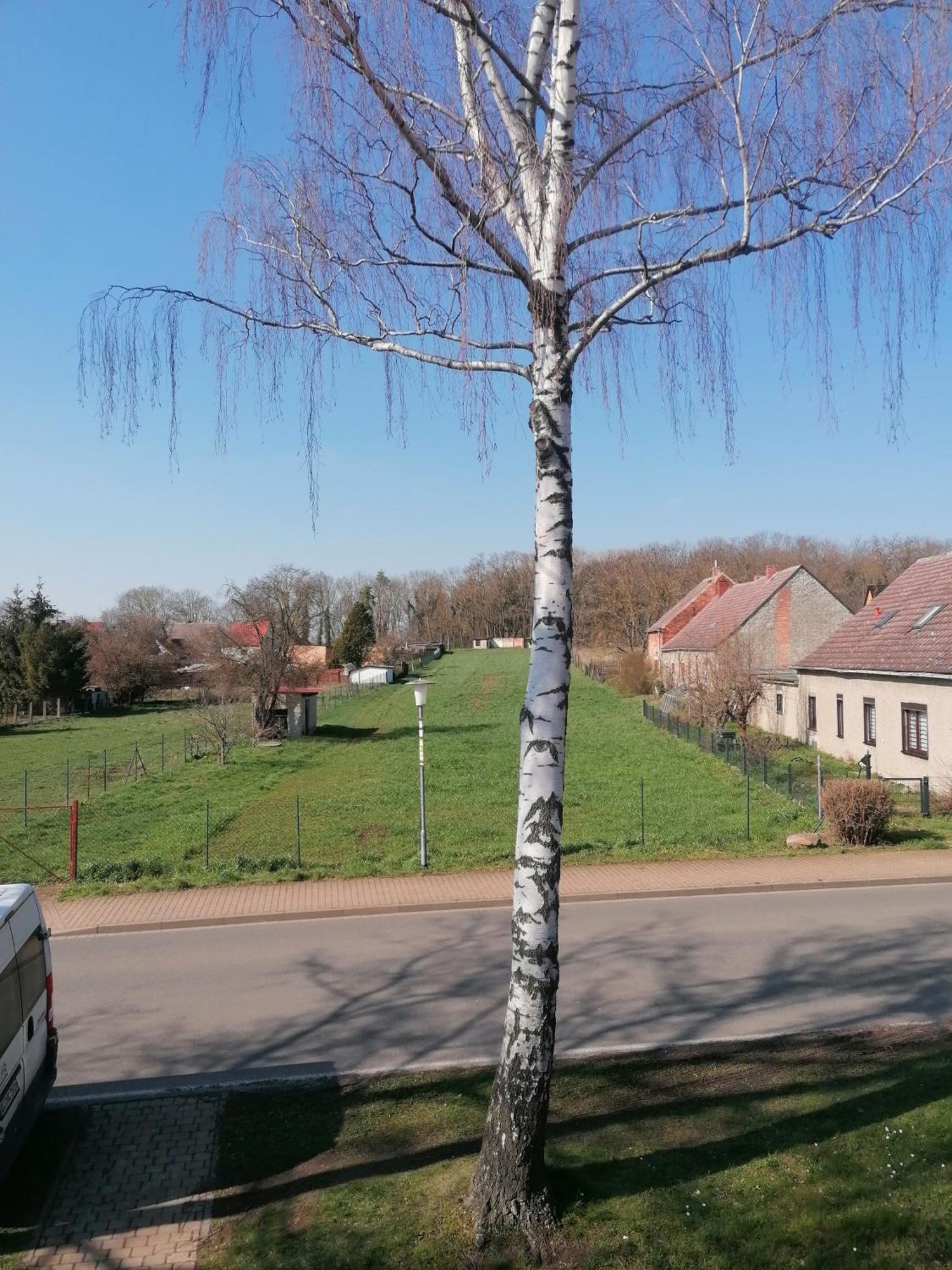Ferienwohnung IV Sarrebriese Wanzleben-Borde Bagian luar foto